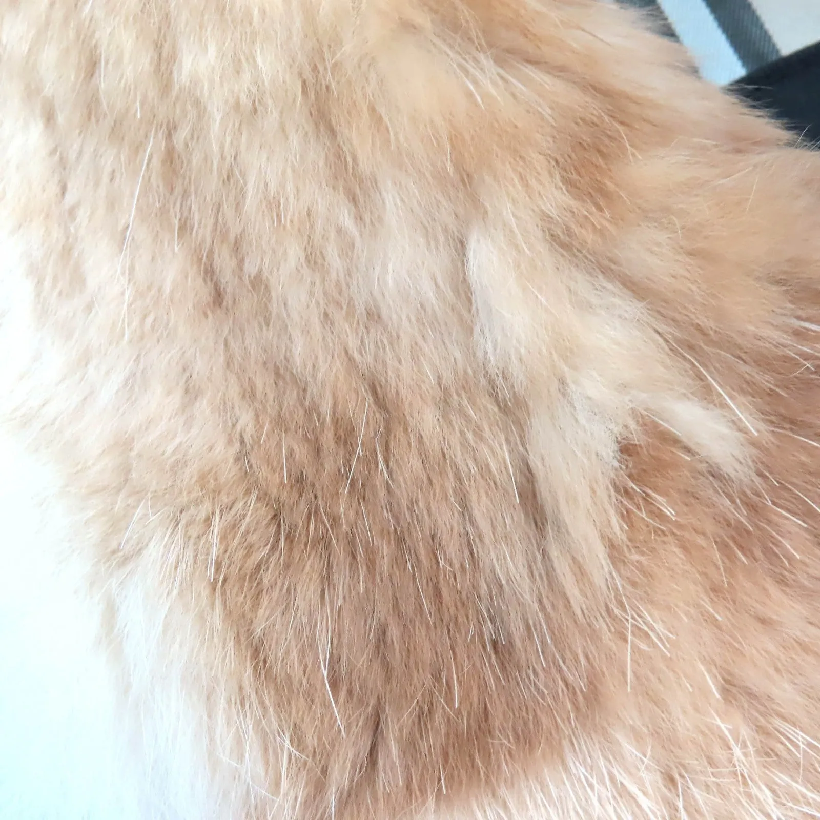 Burberry Leather Jacket with Rabbit Fur Trim Camel M